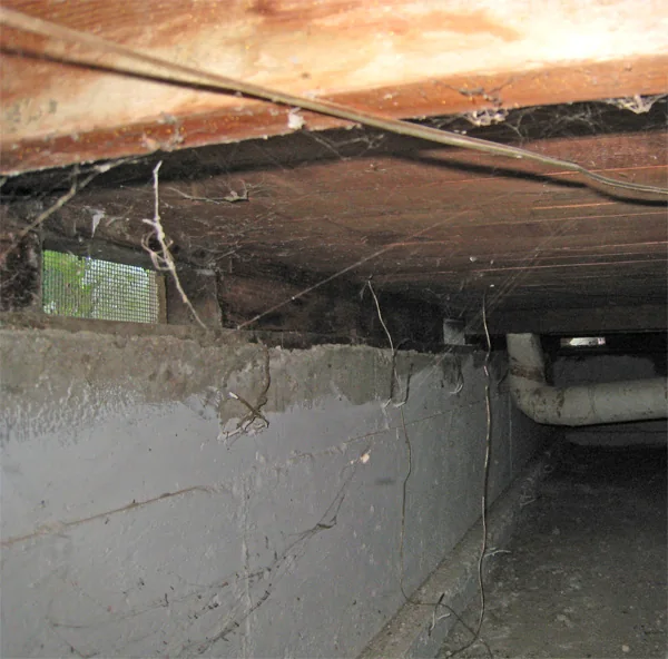 Crawlspace Water Removal in Sharpstown, Texas