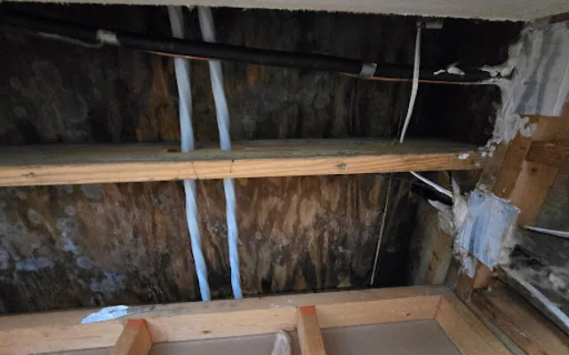 Attic Water Damage in Cloverleaf, Texas