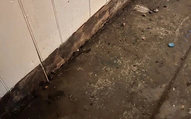 Drain Backup in Bellaire, Texas
