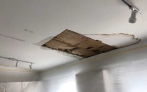 How to Fix Water Damage in Walls and Ceilings: A Homeowner's Guide